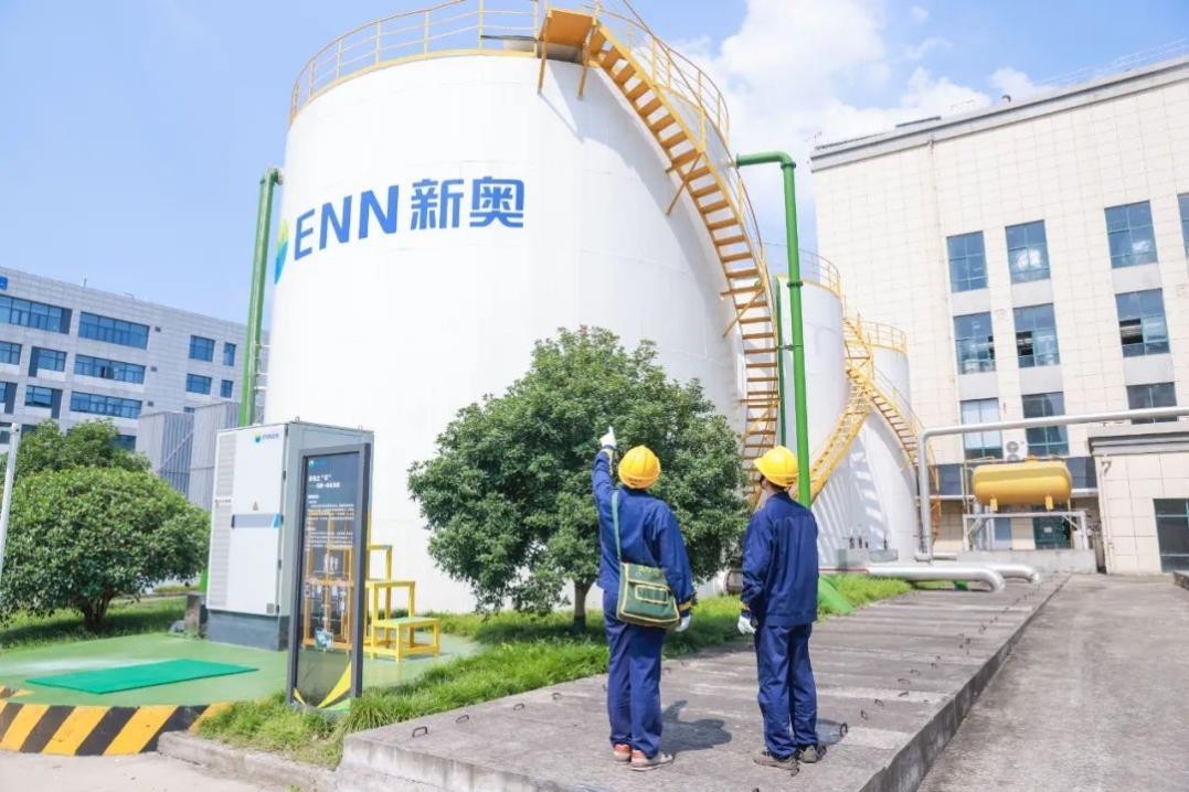 2025年新澳正版免费料全面释义、解释与落实
